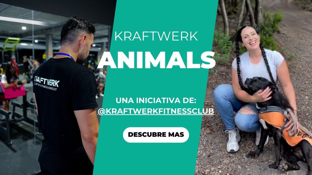 Kraftwerk animals tenerife